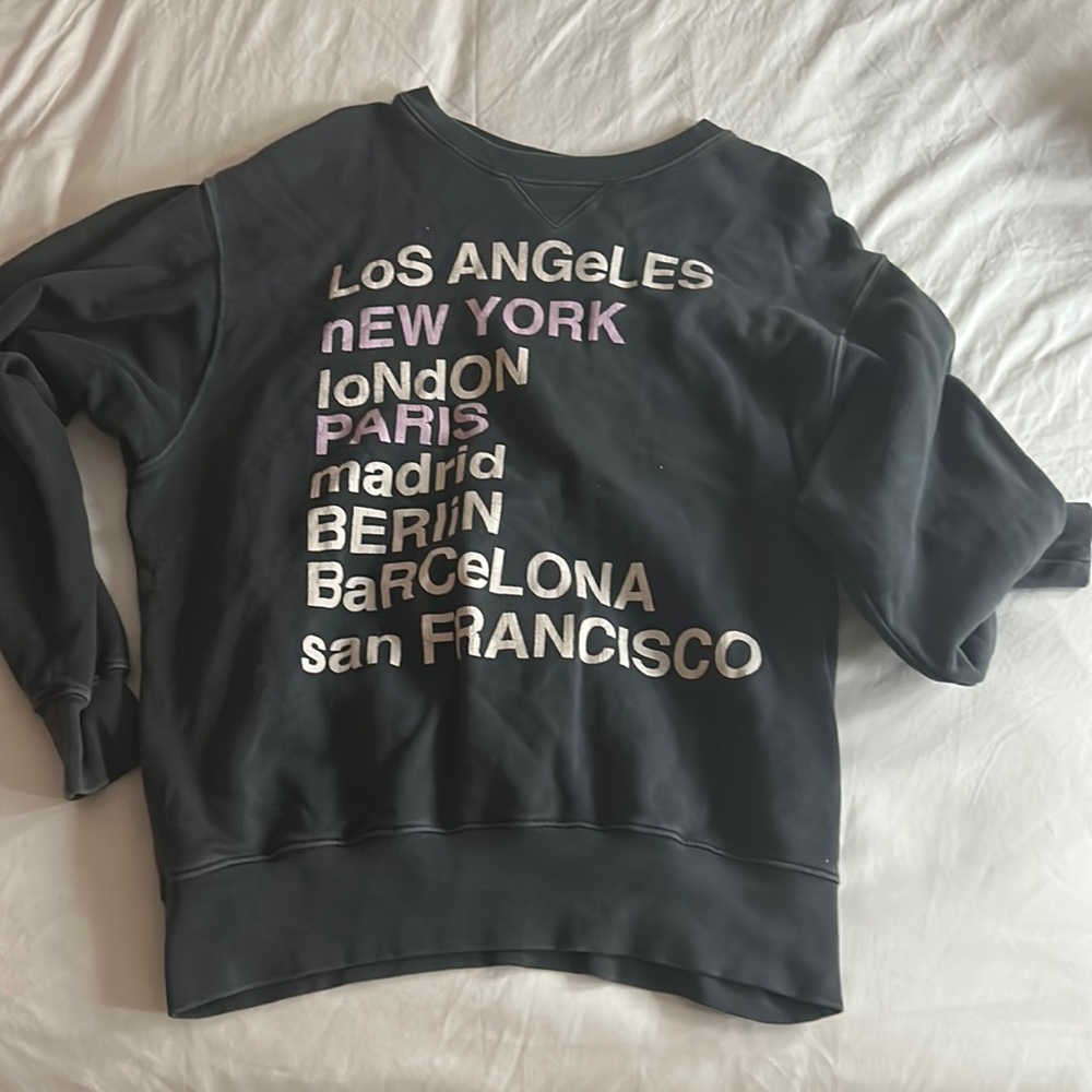 Anine bing sweatshirt